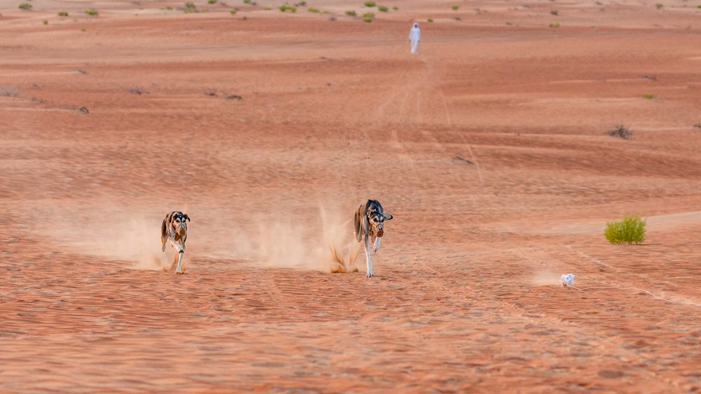 Photograph by Игорь Калинин