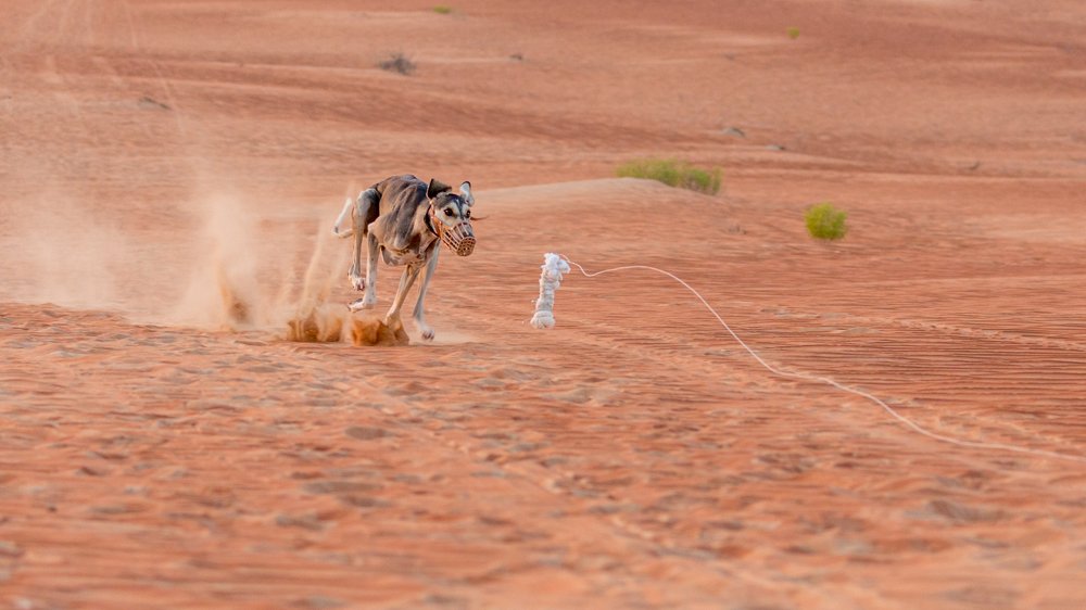 Photograph by Игорь Калинин