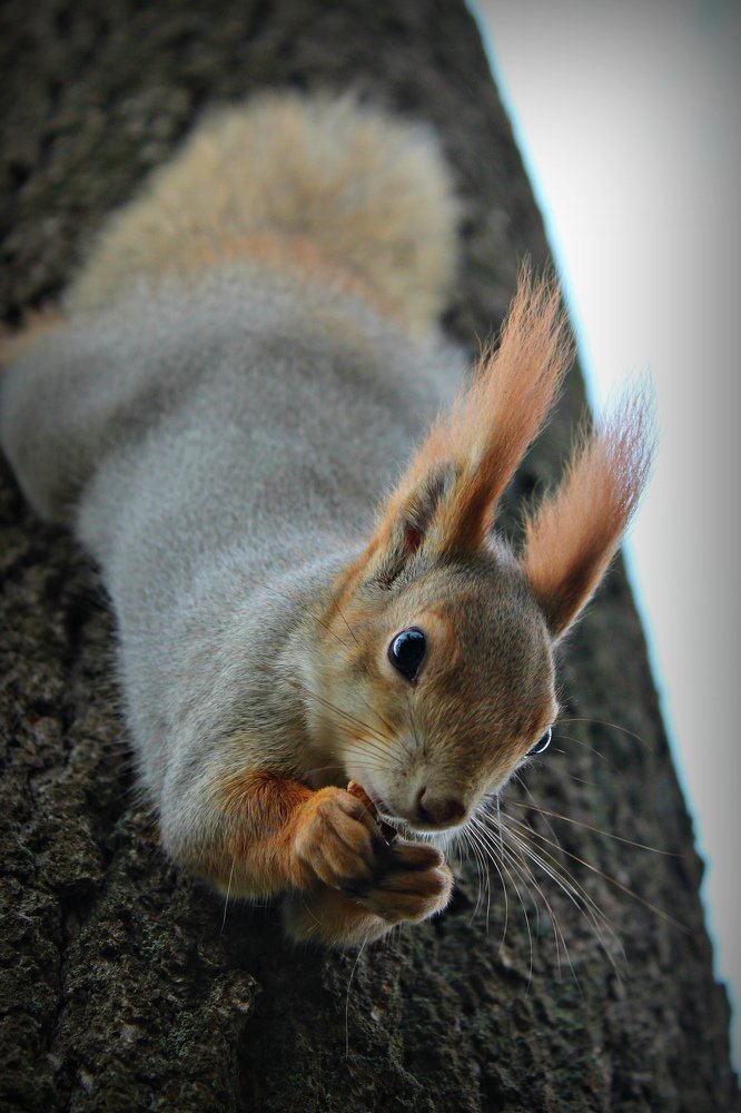 Photograph by Galina Tsmyg