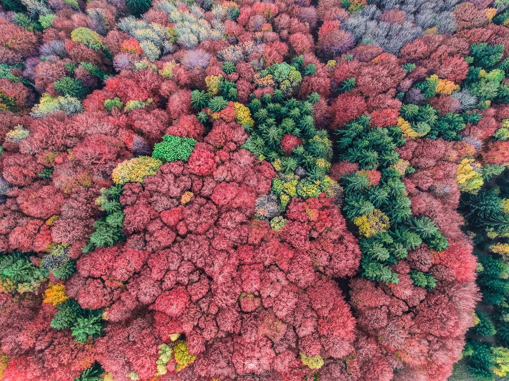 Photograph by Barbu Laurentiu