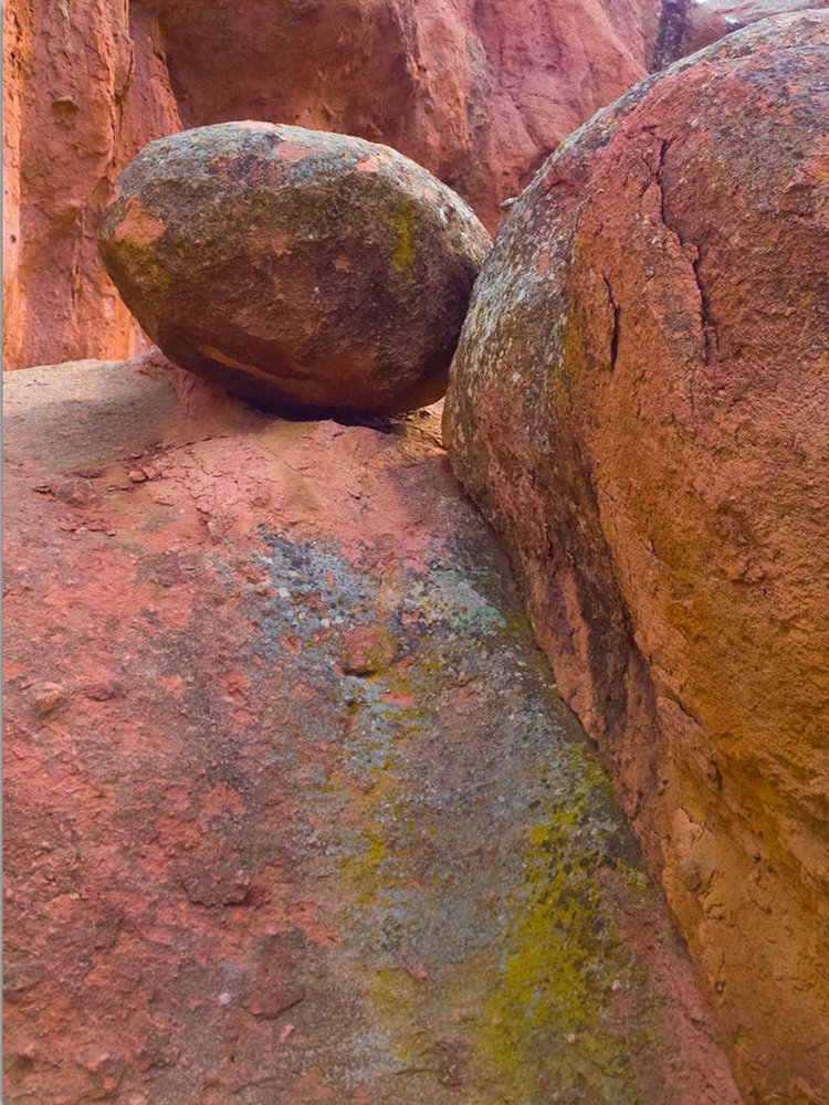 Photograph by T. Ahmadi kalkhorani