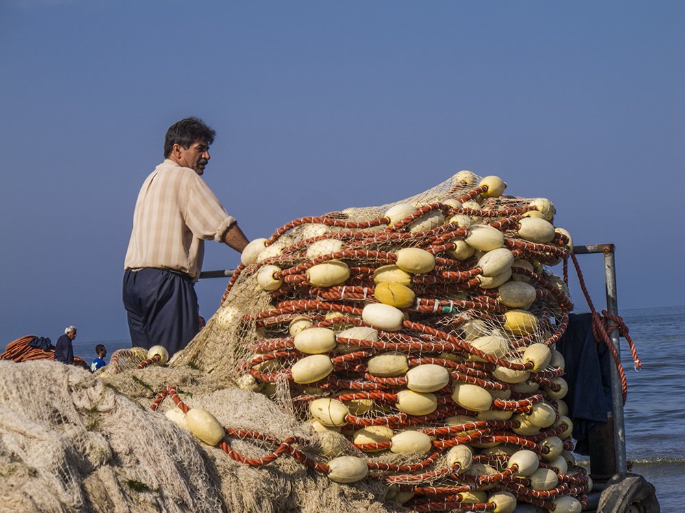 Photograph by T. Ahmadi kalkhorani