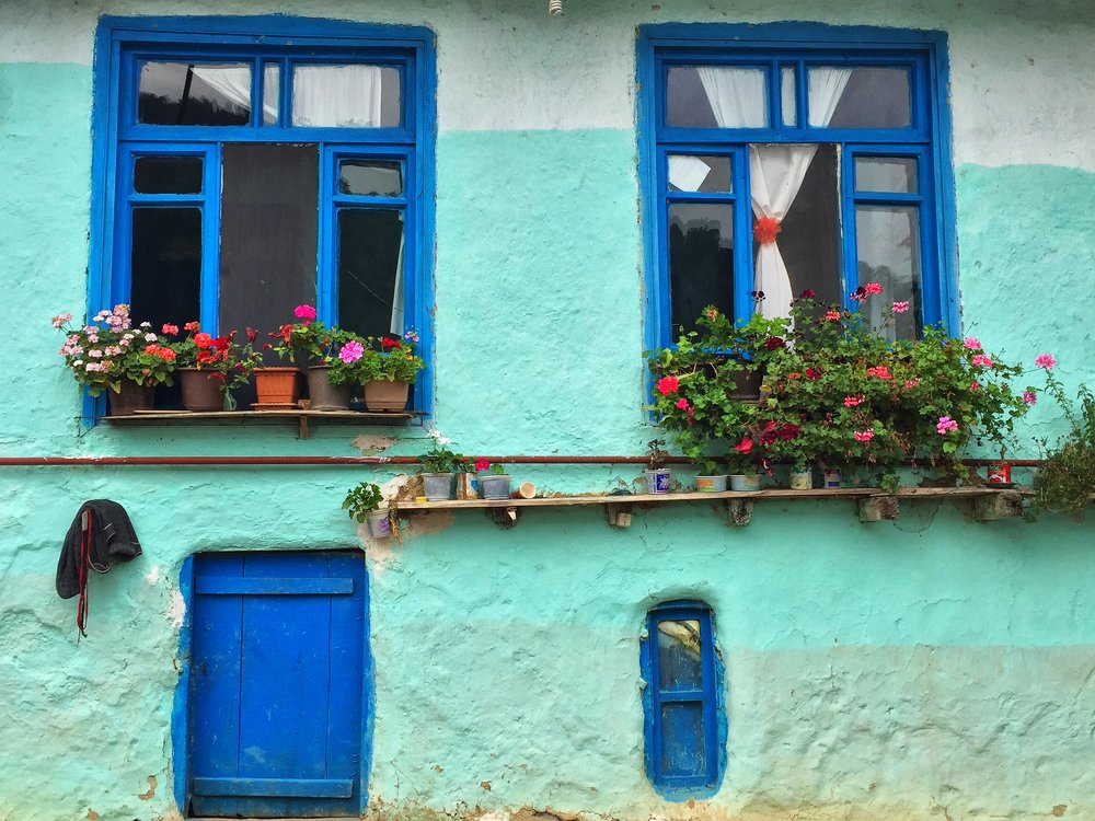 Photograph by T. Ahmadi kalkhorani