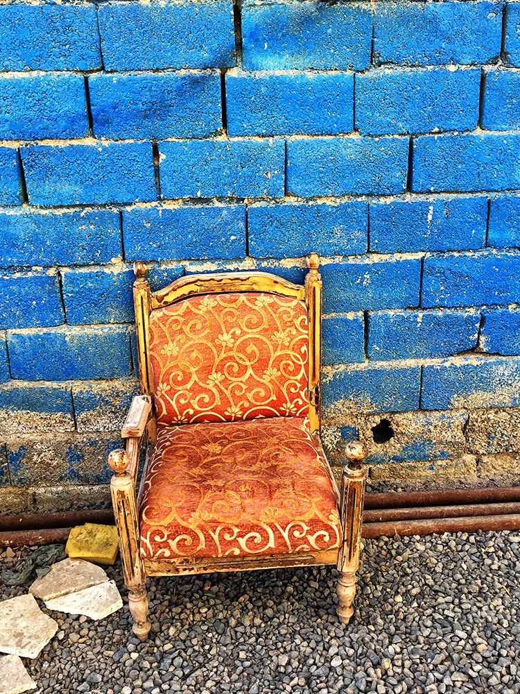 Photograph by T. Ahmadi kalkhorani