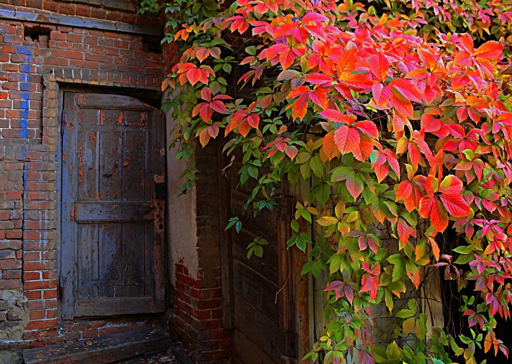 Заброшенный дом