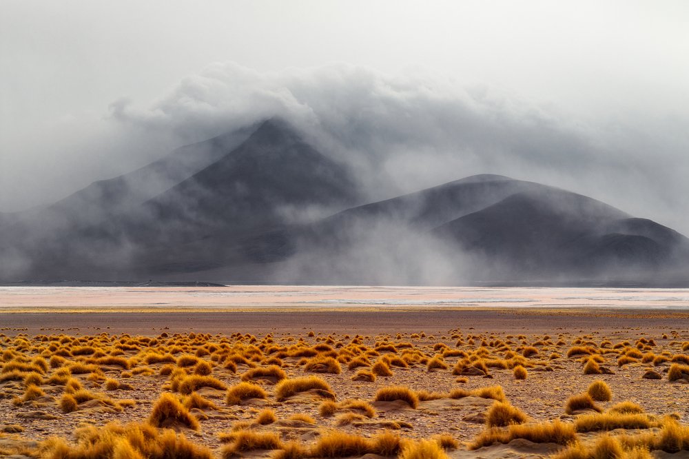 Safe behind the lagoon.