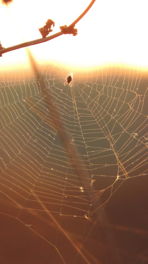 Фотография автора Камиль Хайрутдинов