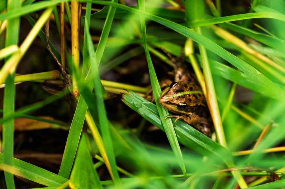 There's no place like home.