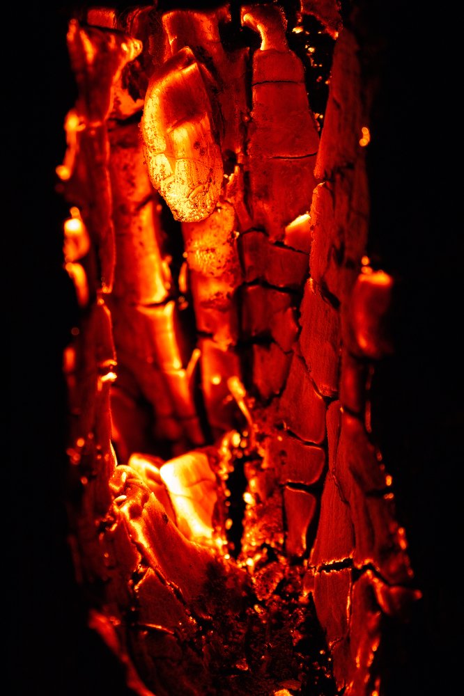 Photograph by Rémi Carbonaro