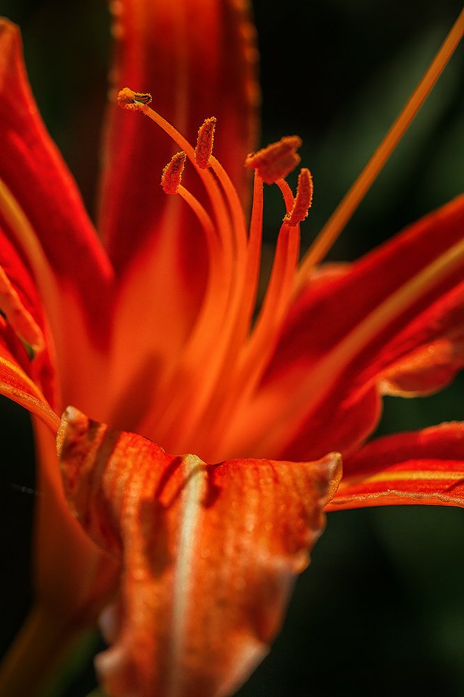 Photograph by Галина Иванова