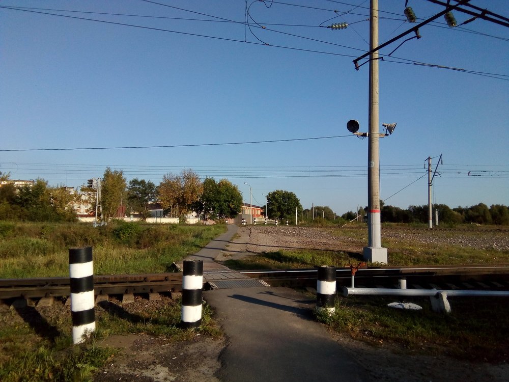 Photo #3789005