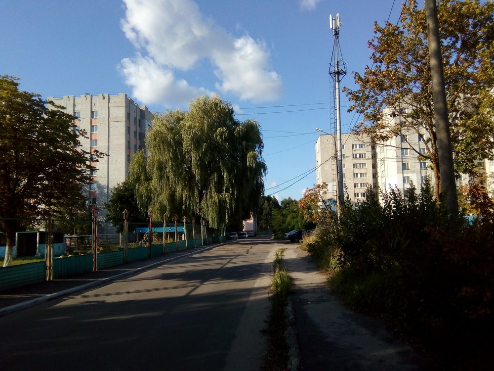 Photo #3789018