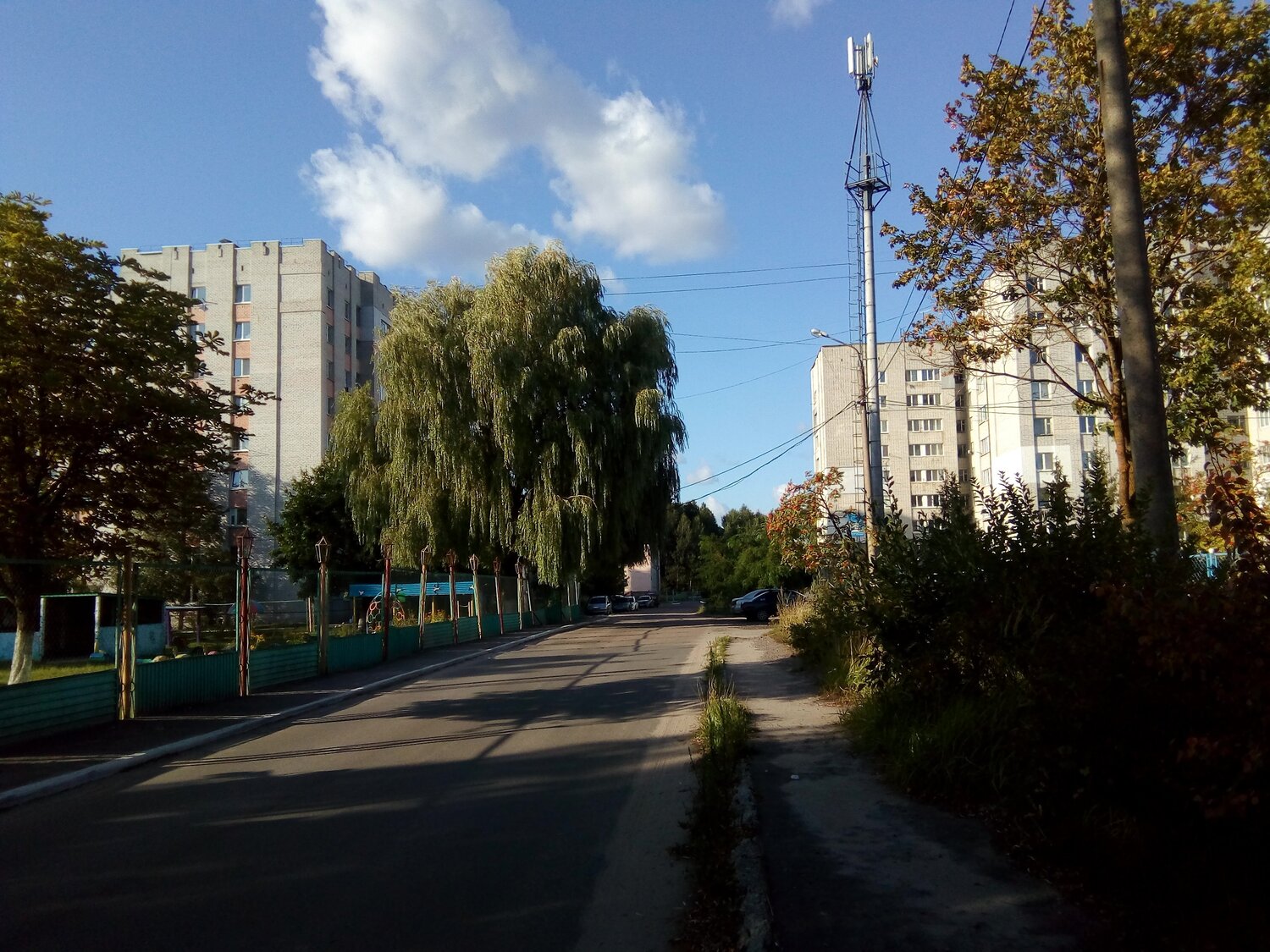 Photo #3789018