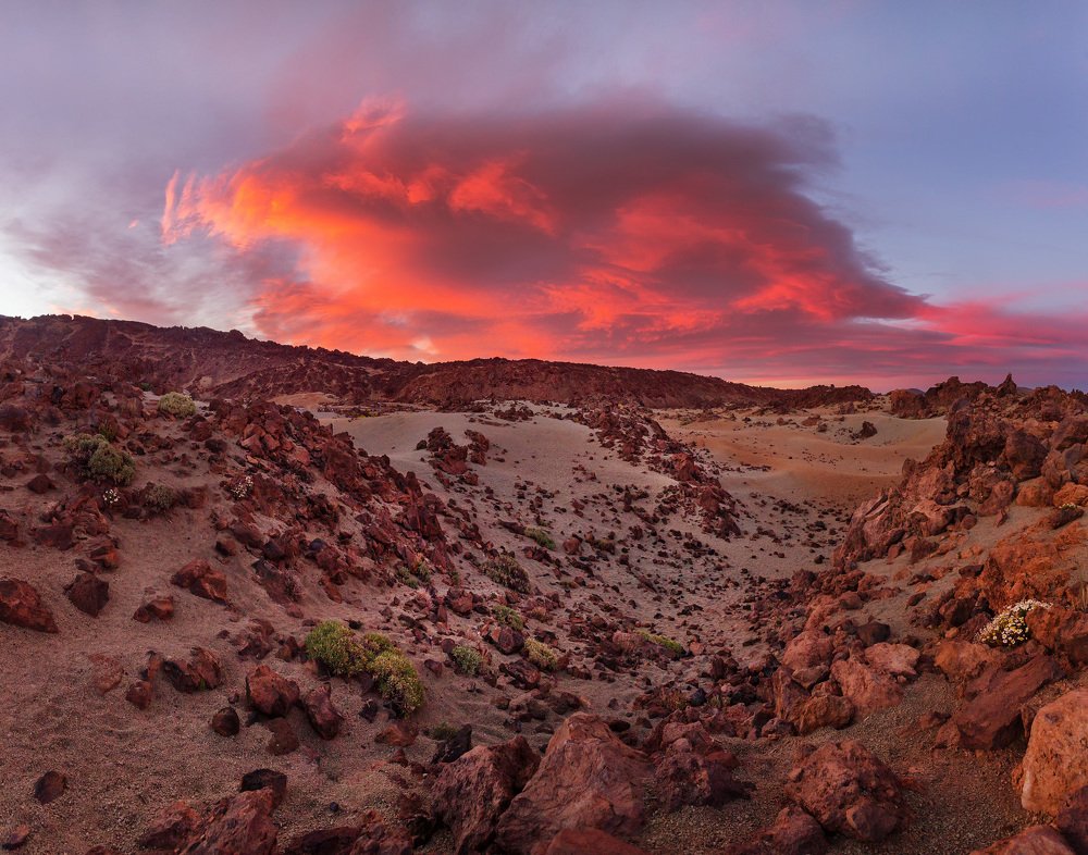 Photograph by Андрей Родионов