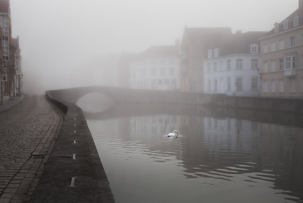 Photograph by Андрей Родионов