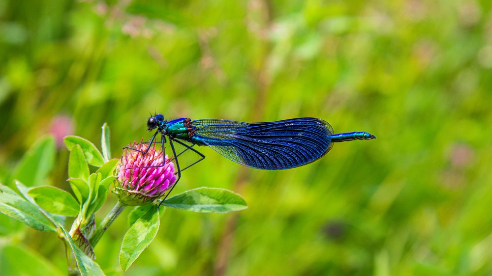 Photograph by Лавренюк Илья