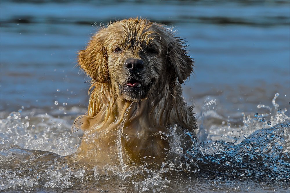 Photograph by Claudio GENNARI