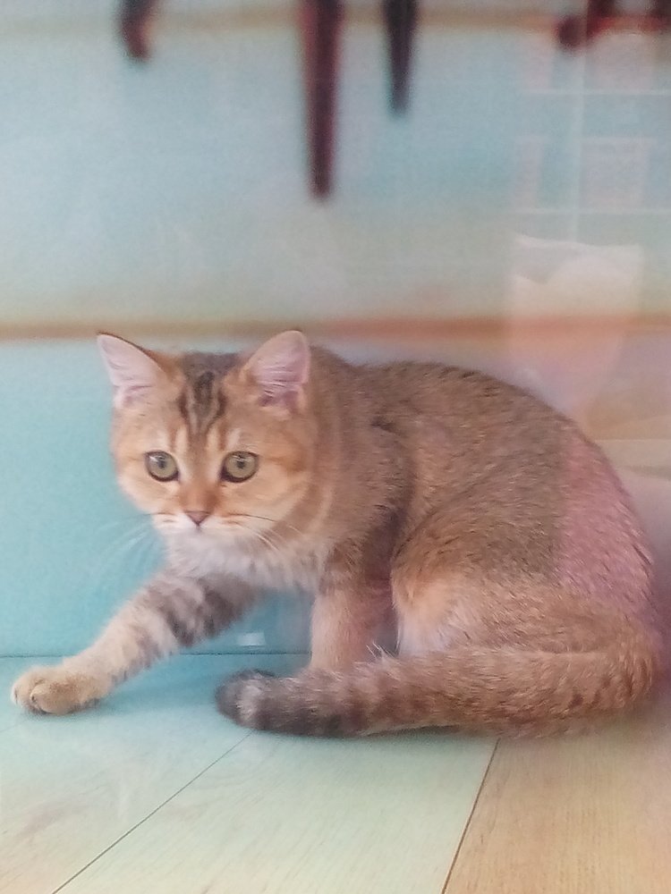 Photograph by Татьяна Мирошникова