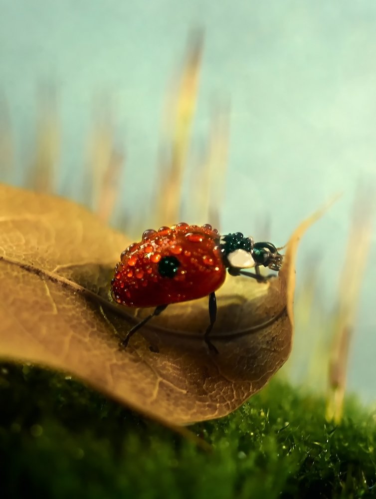 Photograph by Екатерина Бокова