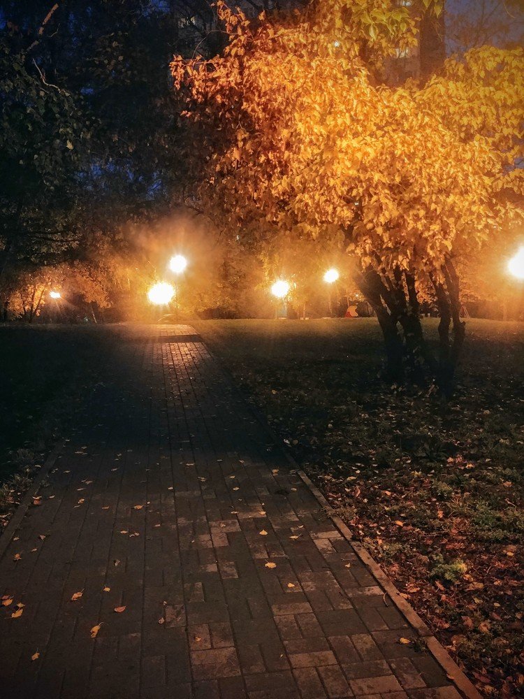 Photograph by Надежда