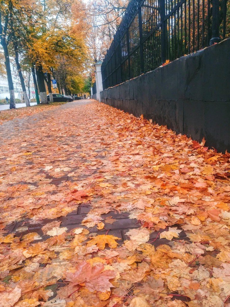 Photograph by Надежда