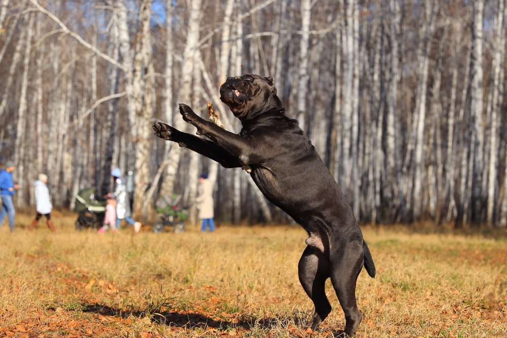 Photograph by Наталья Викарчук