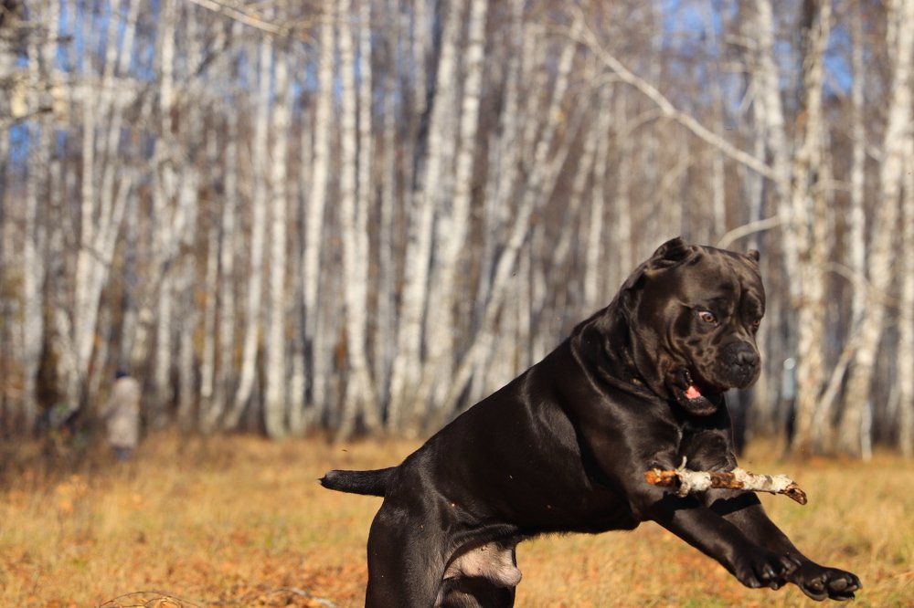 Photograph by Наталья Викарчук
