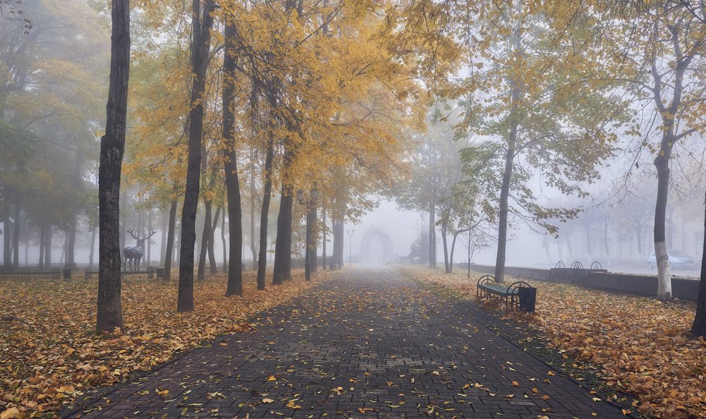 Фотография автора Сергей Овчинников