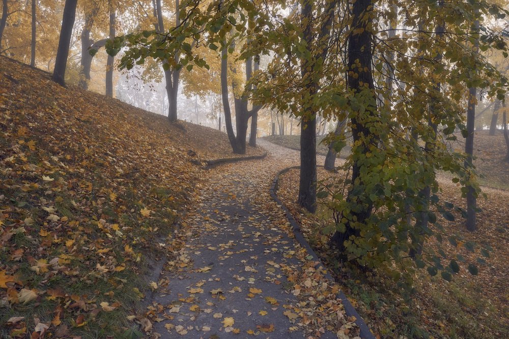 Фотография автора Сергей Овчинников