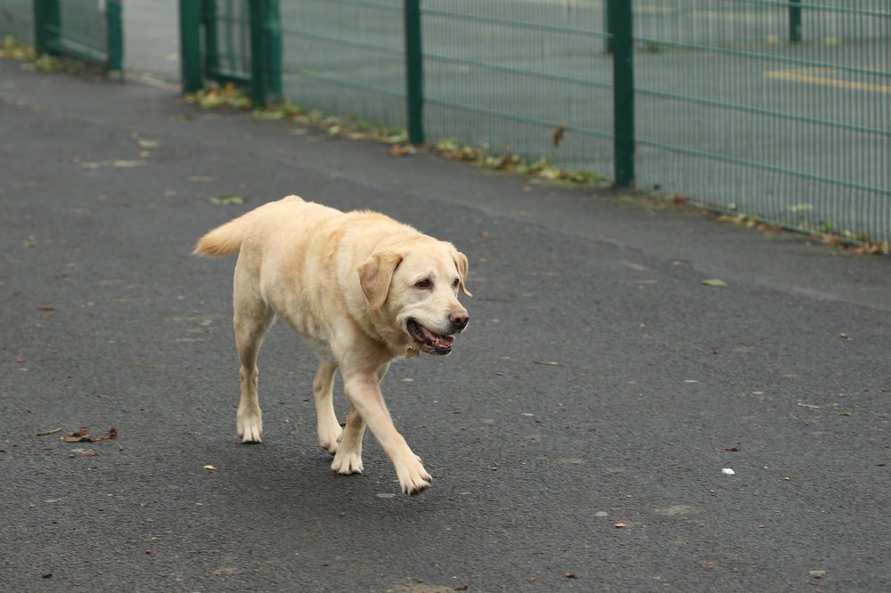 Photograph by Pauline Doran