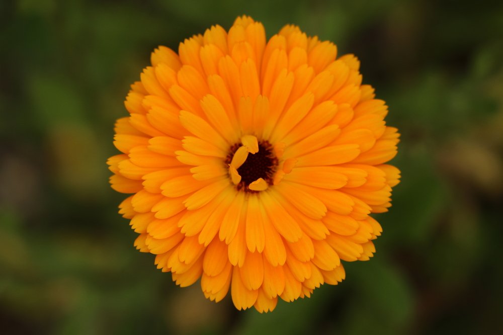 Photograph by Pauline Doran