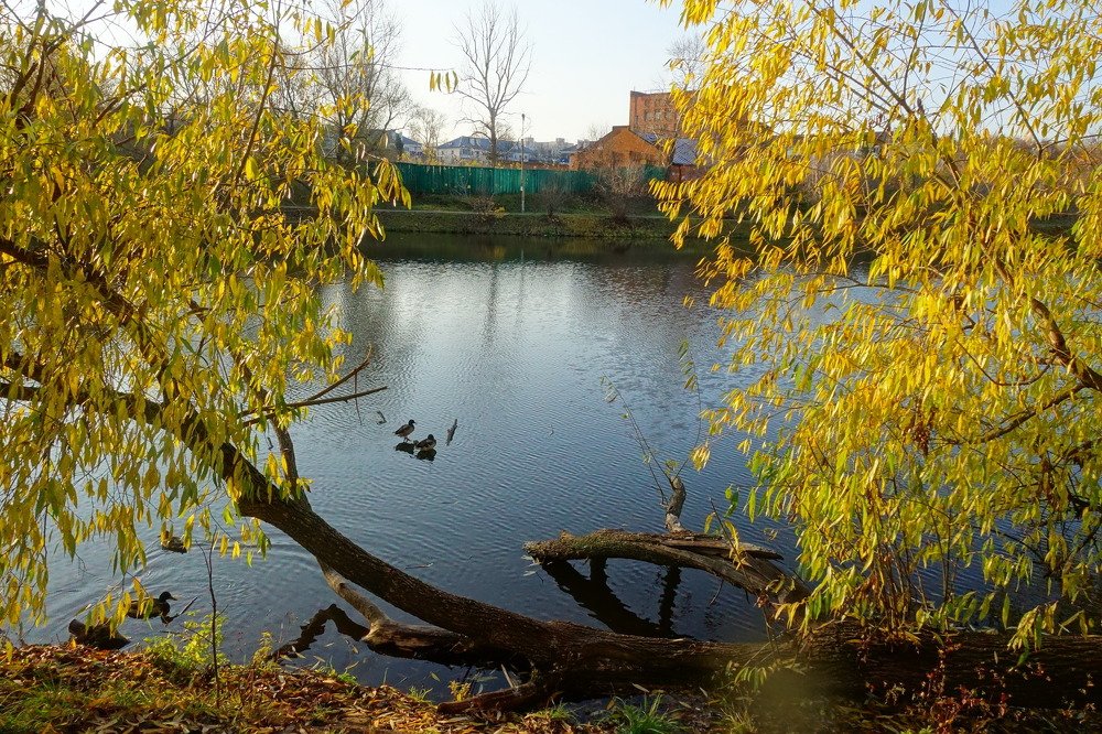 Photograph by 