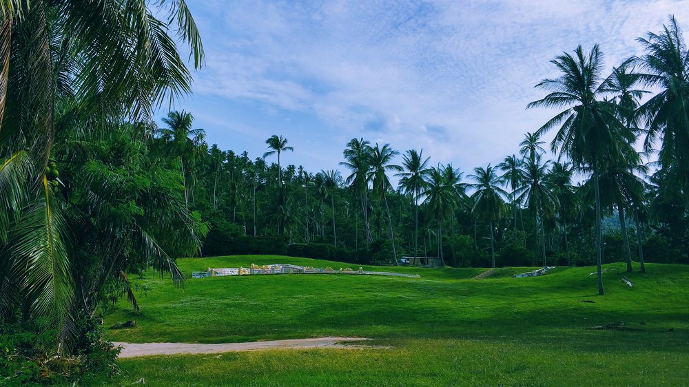 Photograph by 