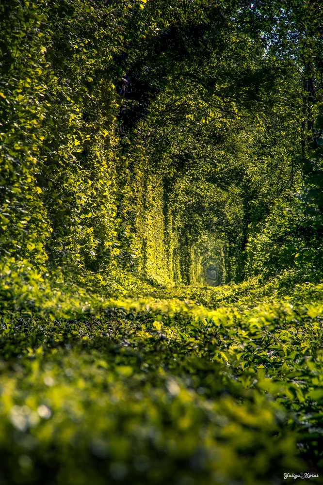 Photograph by Юлия Карась