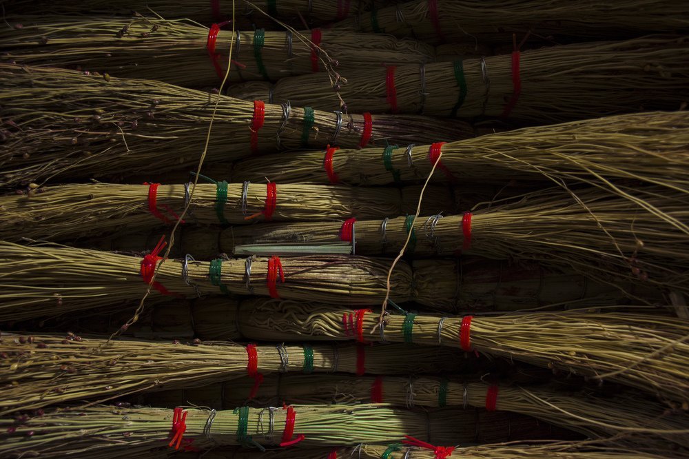 Photograph by Mohadese gholami