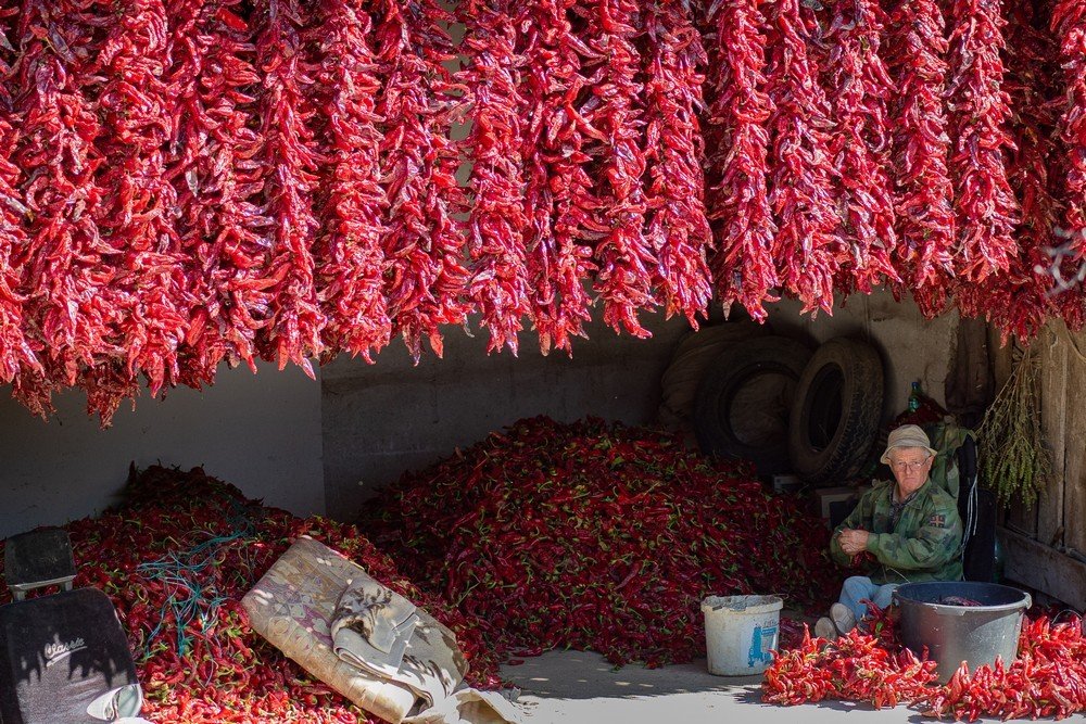 Photograph by Ivan Stojanovic