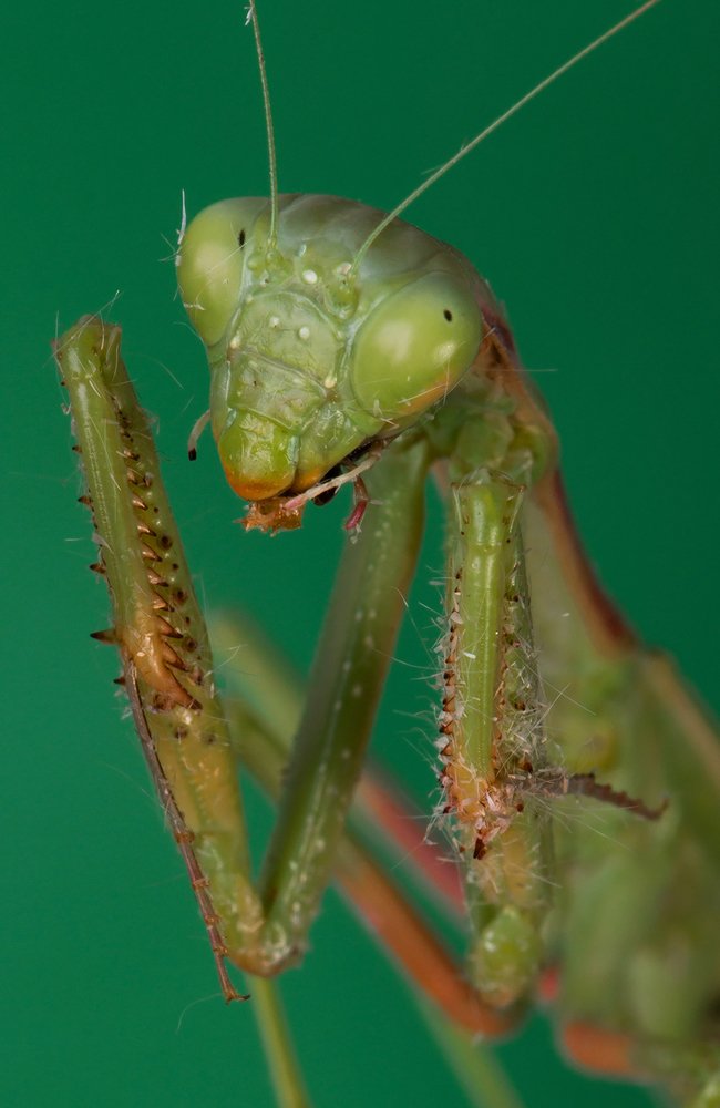 Photograph by Aliakbar Khandan