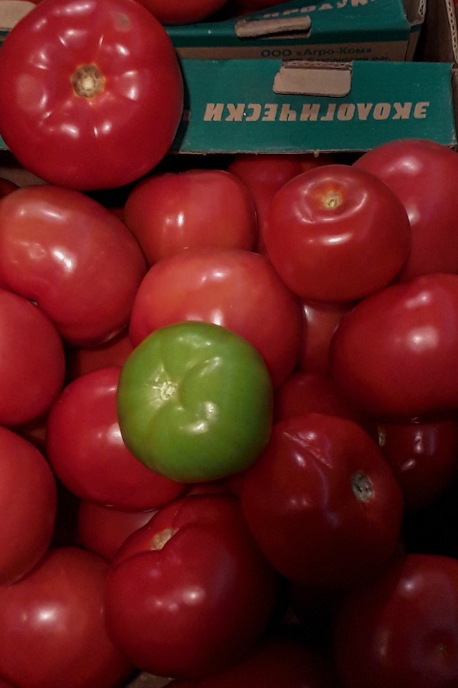 Photograph by Наталия Бочкова