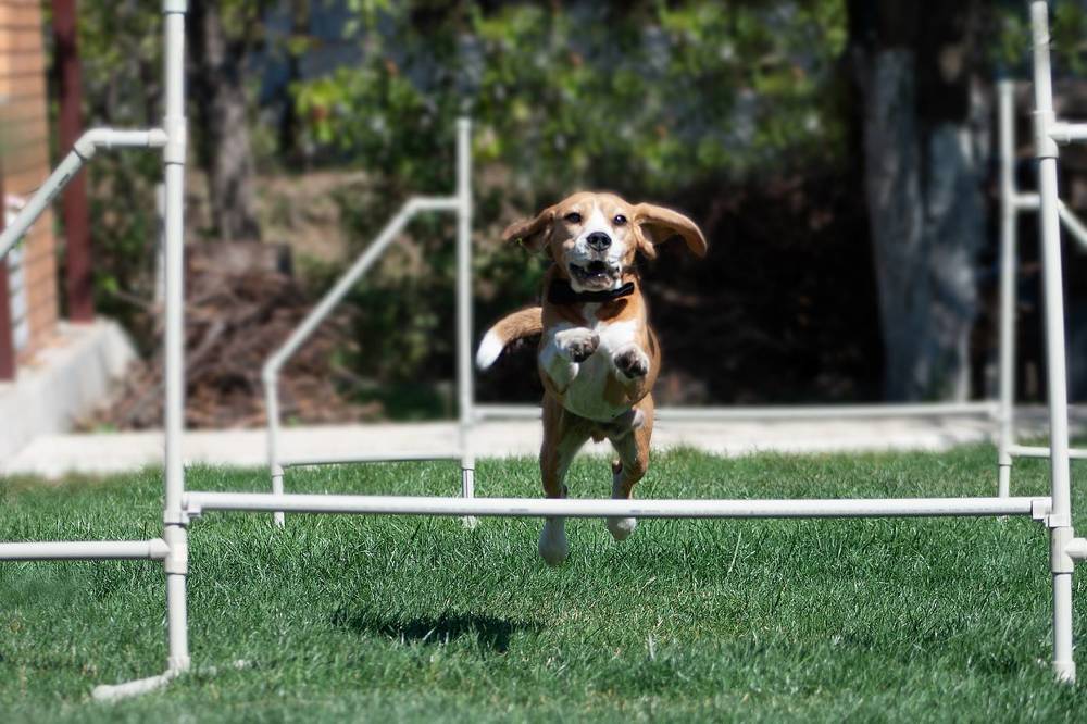 Photograph by Александра Калиниченко