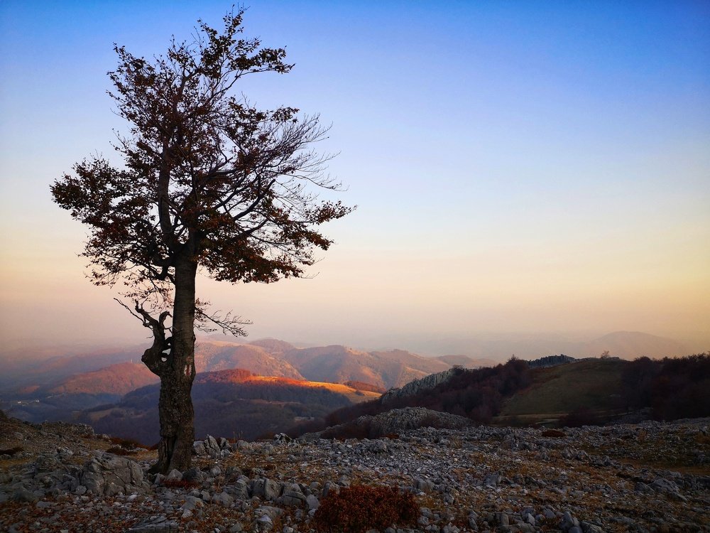 Photograph by Gidei Oana