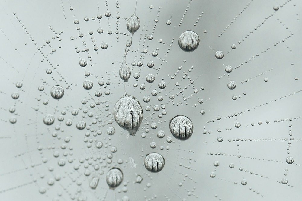 Photograph by Фролова Евгения