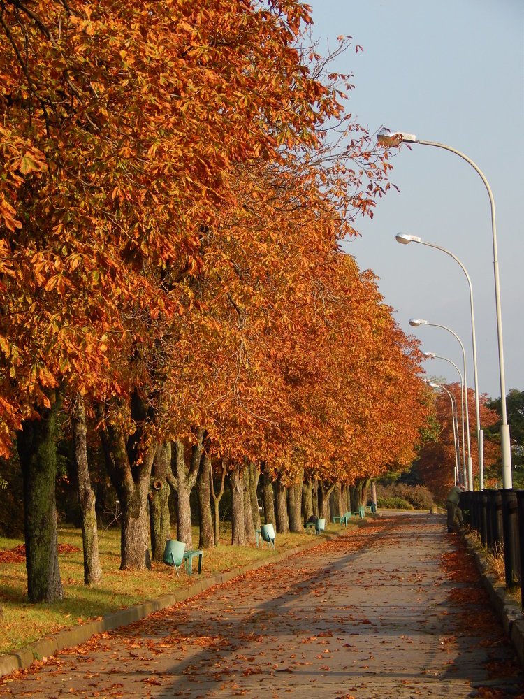 Photograph by Алена