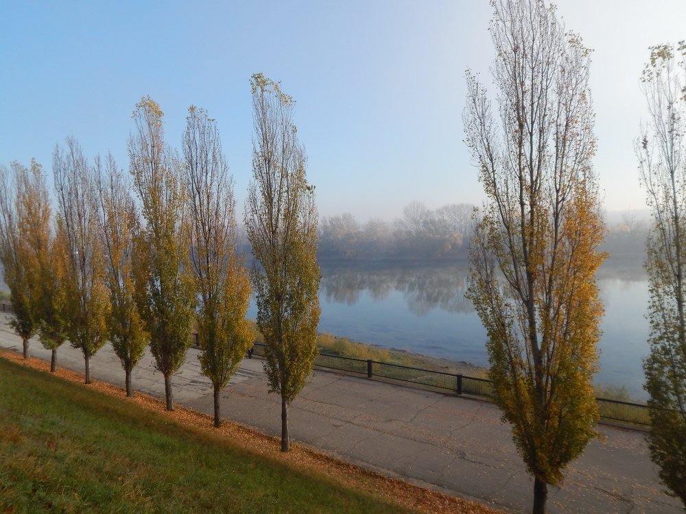 Photograph by Алена