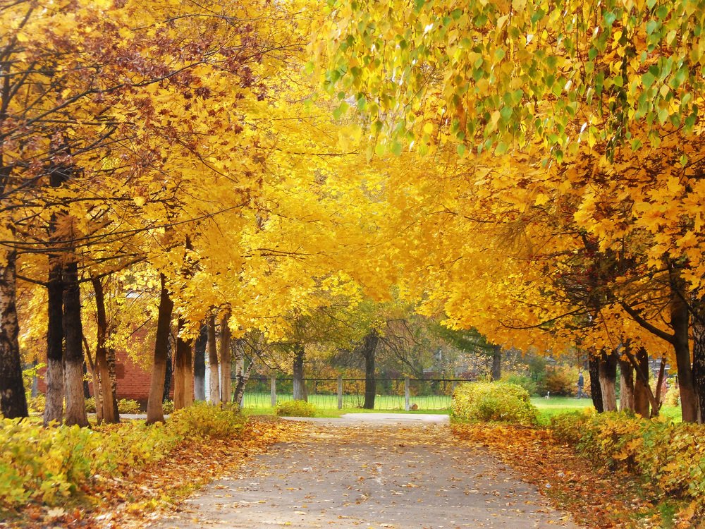 Photograph by Любовь Новикова