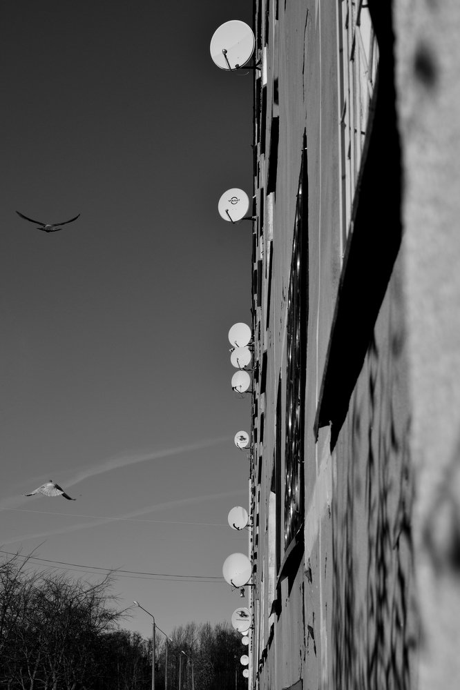 Photograph by Ирина Свиридова