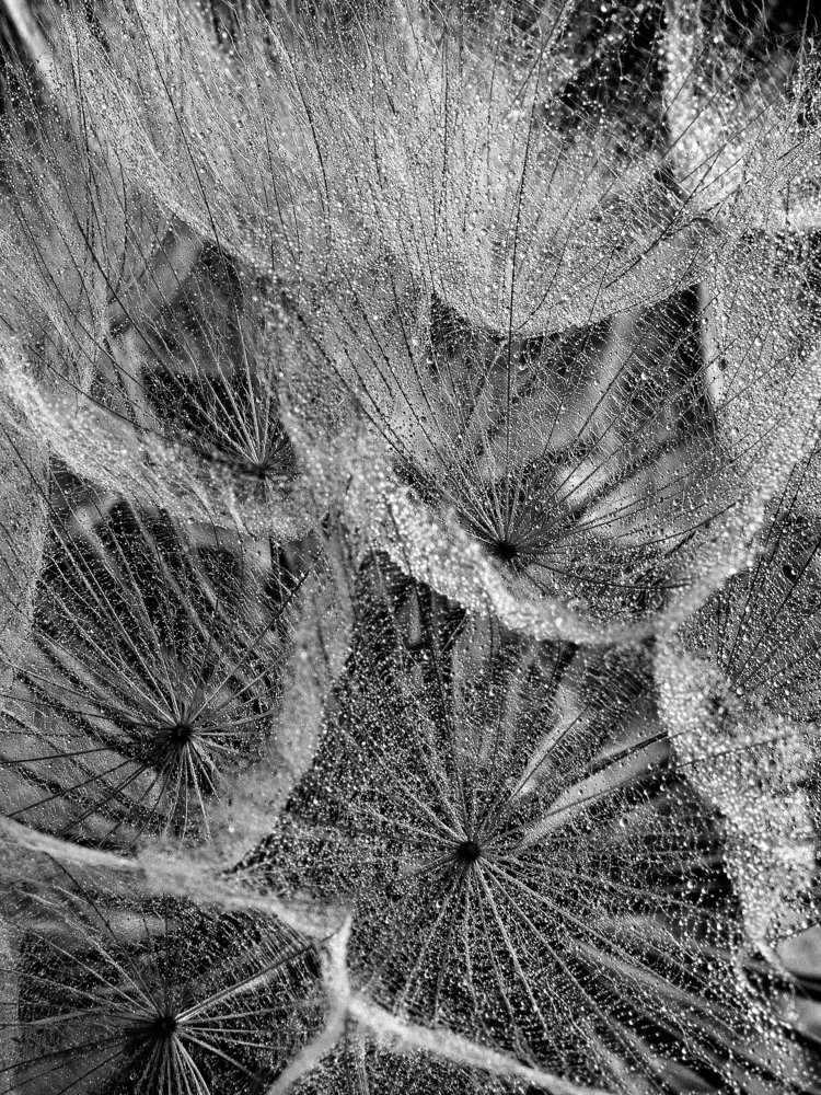 Photograph by Dragan Cerovic