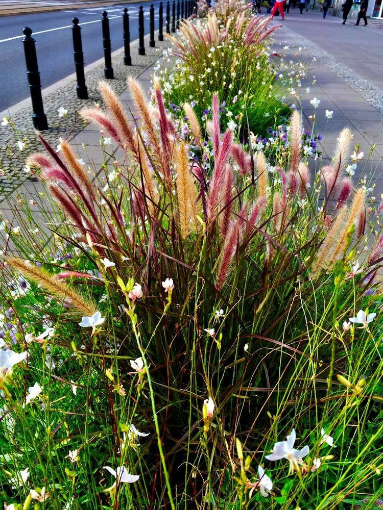 Photograph by Viktoriia Shtefanesa