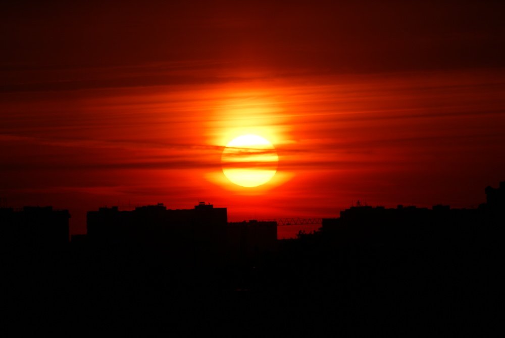 Photograph by Ольга Сергеева