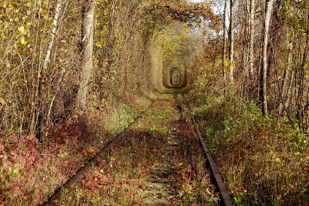 Photograph by Алексей Матвеев