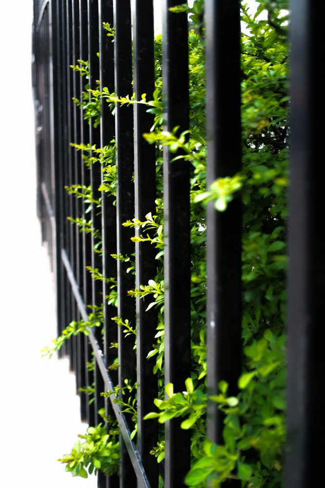 Photograph by Мария Причиненко